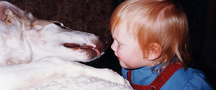 [ Random Borzoi Image ]