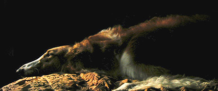 [ Random Borzoi Image ]
