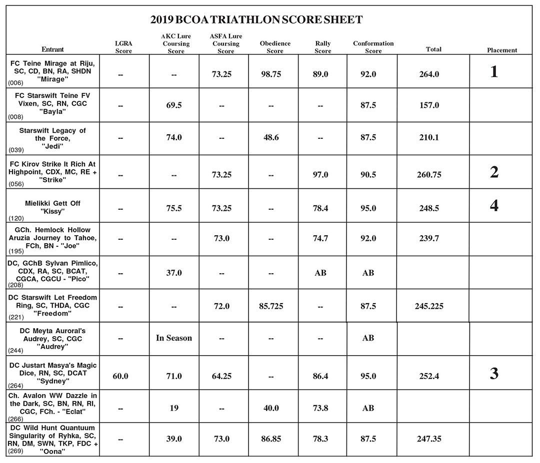 2019 Triathlon Scores