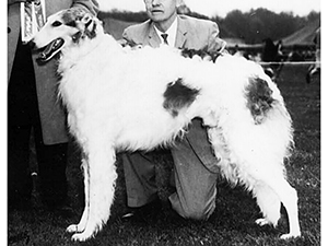 Borzoi Club of America 1966 Best of Breed - Ch. Trezor Ivan