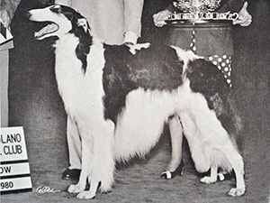 Borzoi Club of America 1980 Best of Breed - Ch. Kishniga's Dalgarth