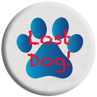 BCOA Lost Dog Rescue graphic