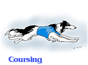 Three Borzoi coursing