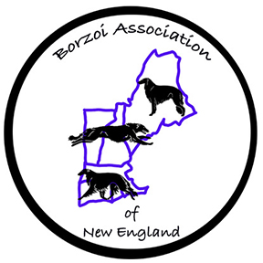 Borzoi Association of New England logo