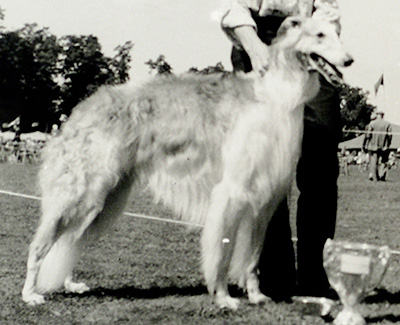 1955 Dog, Open - 4th