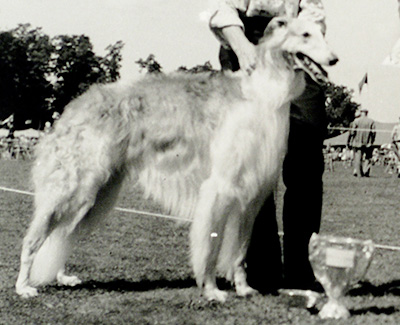 1959 Stud Dog Class - 1st