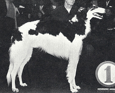 1962 Dog, Open - 3rd