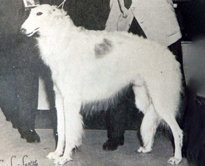 1968 Best of Breed