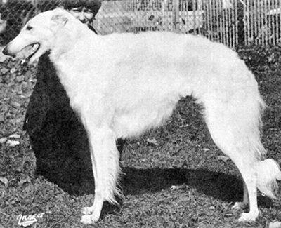 1969 Bitch, Amerian Bred - 4th