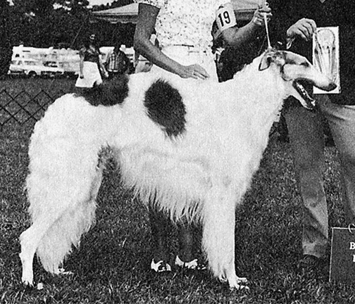 1972 Dog, Open - 2nd