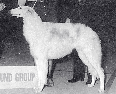 1973 East Reserve Winners Dog