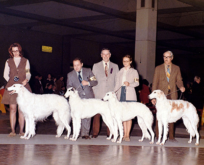 1973 East Stud Dog Class - 1st