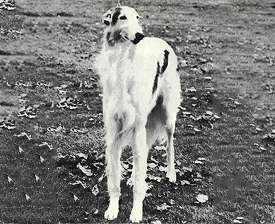 1974 Dog, Open - 2nd