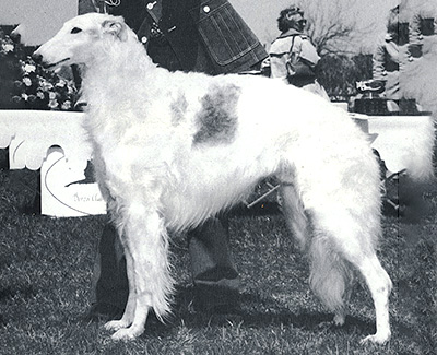 1975 Winners Dog