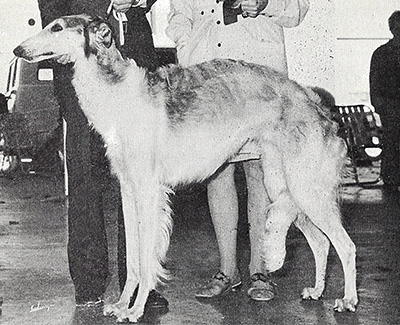 1976 Brood Bitch Class - 3rd