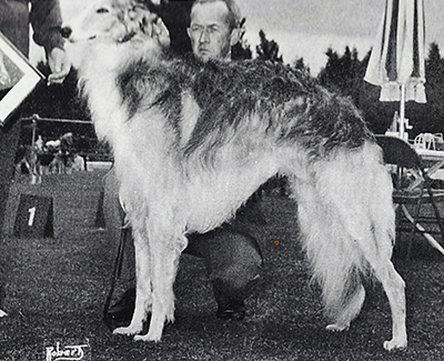 1976 Stud Dog Class - 3rd