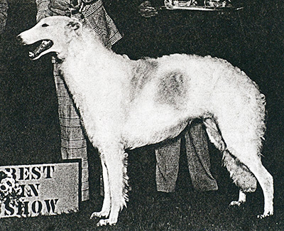 1976 Winners Dog