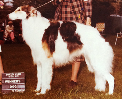 1977 Dog, Open - 2nd