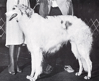 1977 Dog, Open - 2nd