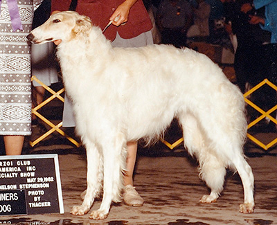 1982 Winners Dog