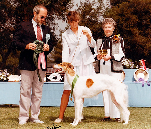 1984 Best Junior Showman