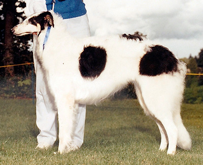 1986 Best Puppy