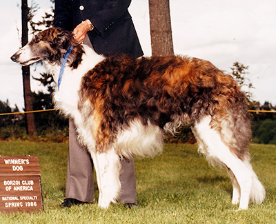 1986 Winners Dog