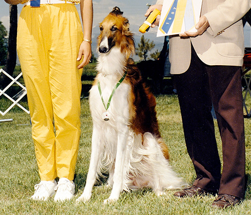 1987 High in Obedience Trial