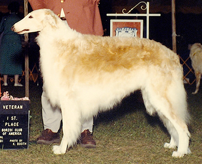 1988 Obedience Graduate Novice Class - 4th