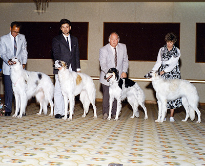 1989 Stud Dog - 1st