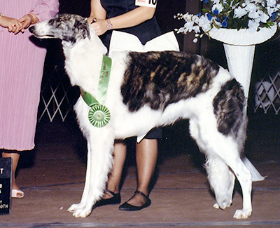 1990 Award of Merit