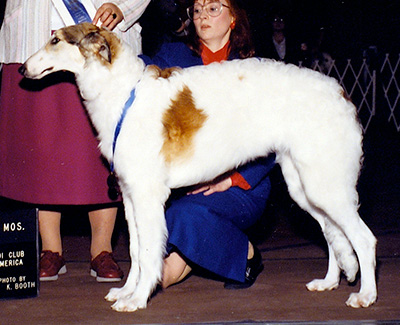 1990 Dog, 6 months and under 9 - 1st