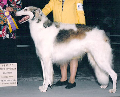 1973 Dog, Bred by Exhibitor - 3rd