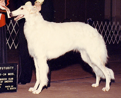 1990 Futurity Bitch, 21 months and under 24 - 1st