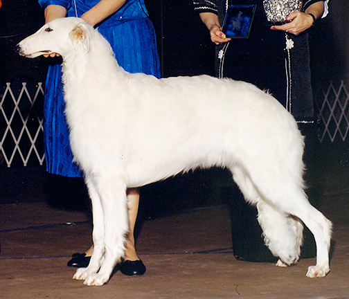 1990 Best in Futurity