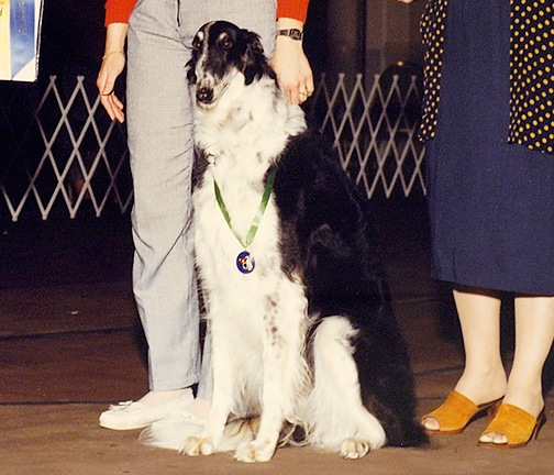 1990 High in Obedience Trial