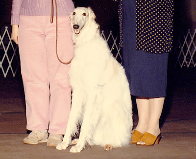 1990 Obedience Novice Class 'B' - 1st