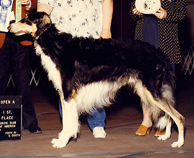 1990 Obedience Open Class 'A' - 1st
