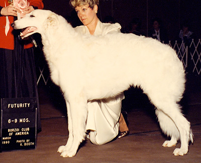 1990 Puppy Sweepstakes Dog, 6 months and under 9 - 2nd