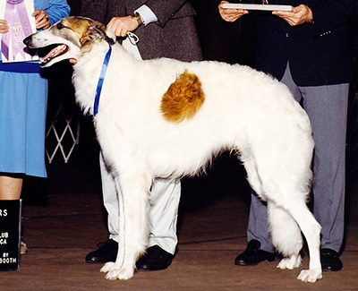 1990 Winners Dog