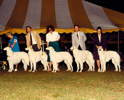 1991 Brood Bitch Class - 1st