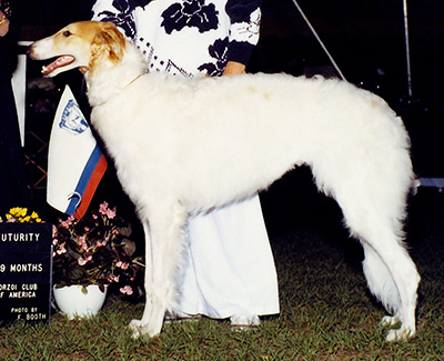 1991 Dog, 6 months and under 9 - 3rd