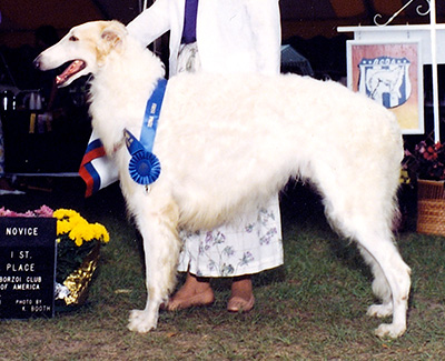 1991 Dog, Novice - 1st