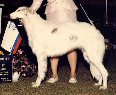 1991 Futurity Bitch, 21 months and under 24 - 1st