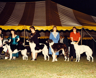 1991 Futurity Brood Bitch Class - 1st