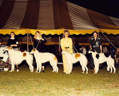 1991  Stud Dog Class - 2nd