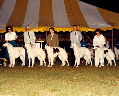 1991 Stud Dog Class - 1st