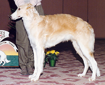 1992 Dog, 6 months and under 9 - 4th