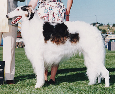 1992 Dog, Open - 2nd