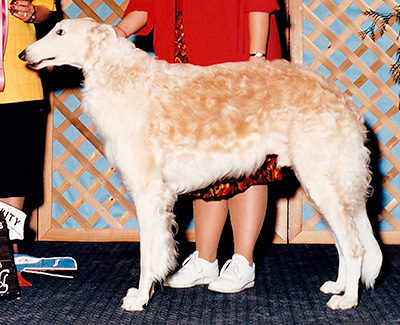 1992 Dog, Open - 4th